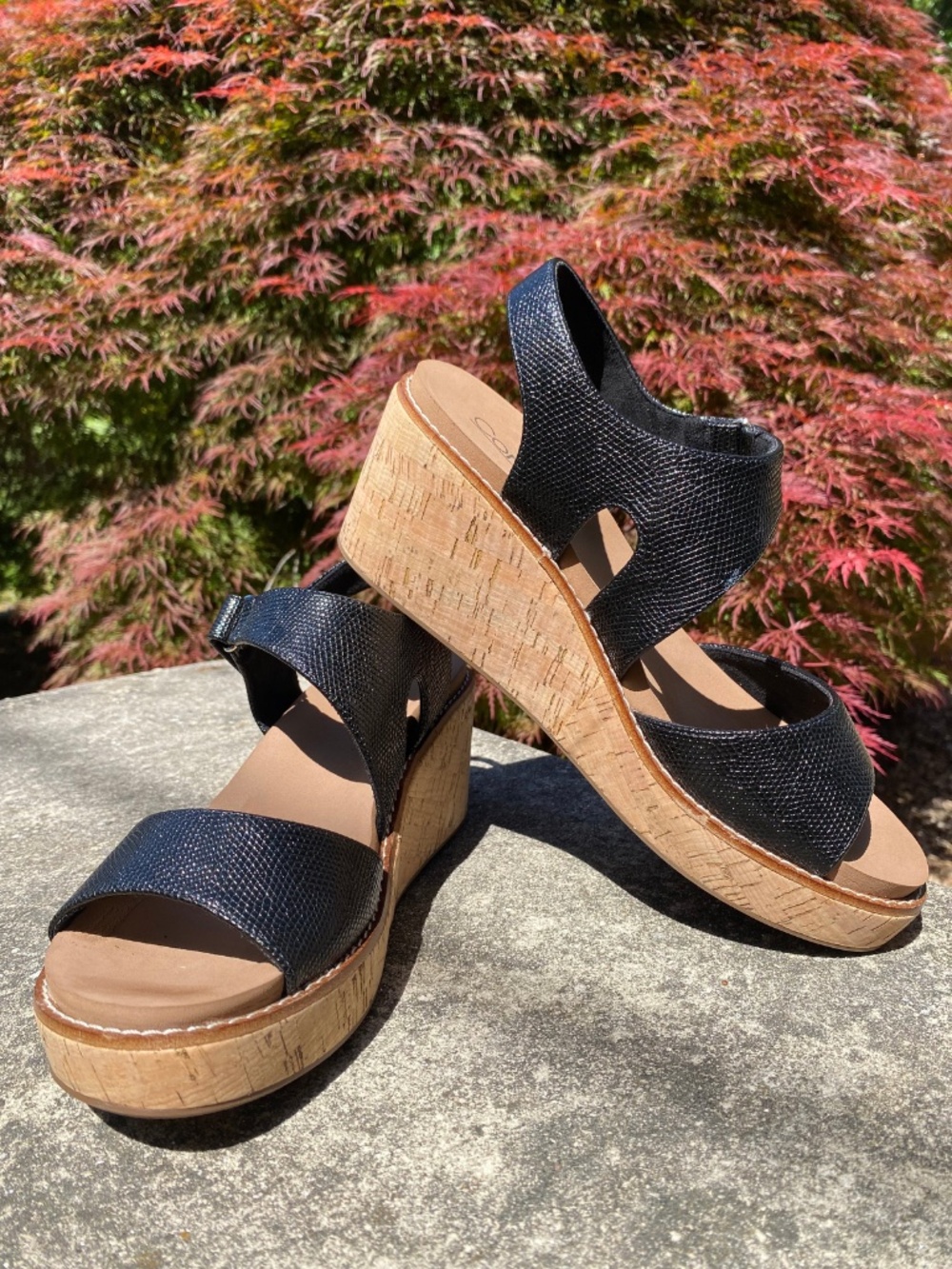 Corky's Five O'Clock Somewhere Wedge - Black